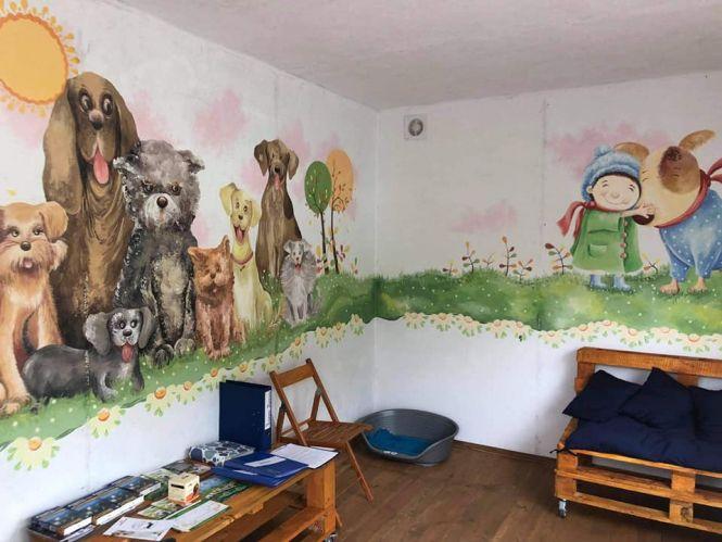 Ні дня без добра: що хорошого цьогоріч сталося у Вінницькому притулку для тварин, фото №6 на сайті 20minut.ua