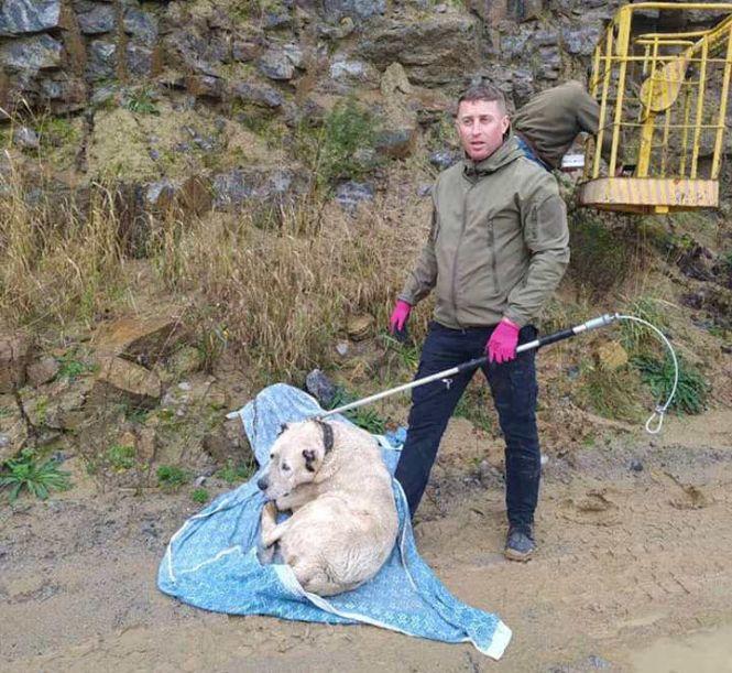 Новини Вінниці - фото з Ні дня без добра: що хорошого цьогоріч сталося у Вінницькому притулку для тварин Ні дня без добра: що хорошого цьогоріч сталося у Вінницькому притулку для тварин, фото №3 на сайті 20minut.ua