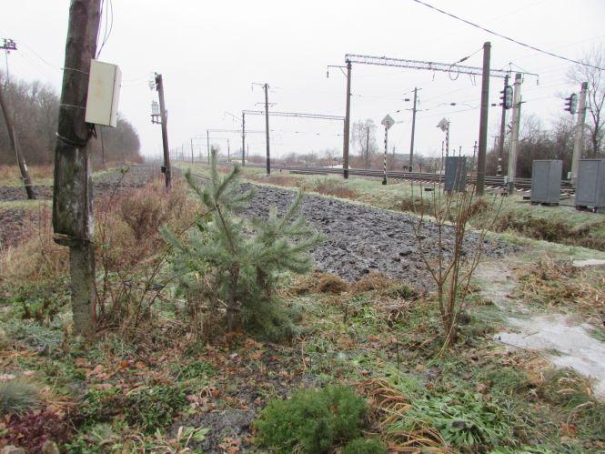 Прогулянка Козятинщиною: багнюка біля ЦРЛ, міст та люки на Мічуріна, фото №6 на сайті 20minut.ua