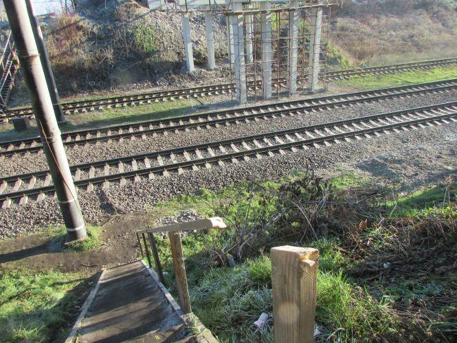 Прогулянка Козятинщиною: багнюка біля ЦРЛ, міст та люки на Мічуріна, фото №4 на сайті 20minut.ua