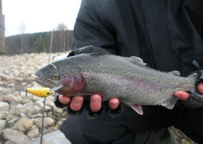 Новини Вінниці - фото з Зимова рибалка неподалік Вінниці: місця та секрети лову Зимова рибалка неподалік Вінниці: місця та секрети лову, фото №5 на сайті 20minut.ua