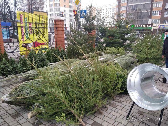 Новини Хмельницького - фото з Біля «Плази» і на проспекті Миру оштрафували сім продавців ялинок Біля «Плази» і на проспекті Миру оштрафували сім продавців ялинок, фото №2 на сайті vsim.ua