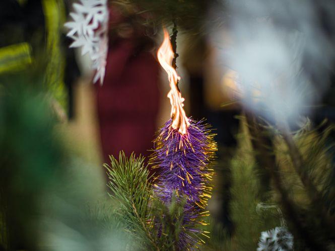 Як безпечно встановити новорічну ялинку: поради від рятувальників, фото №1 на сайті vsim.ua