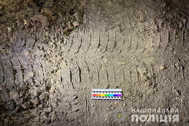 Силою заштовхали в багажник: затримали групу осіб, які катували чоловіка та вимагали 800 тисяч доларів (ВІДЕО), фото №2 на сайті 20minut.ua