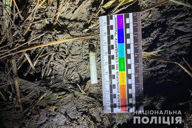 Силою заштовхали в багажник: затримали групу осіб, які катували чоловіка та вимагали 800 тисяч доларів (ВІДЕО), фото №3 на сайті 20minut.ua