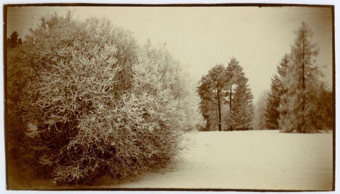 Новини Вінниці - фото з Як виглядала зима у Вінниці понад сто років тому: історики зібрали фото Як виглядала зима у Вінниці понад сто років тому: історики зібрали фото, фото №2 на сайті 20minut.ua