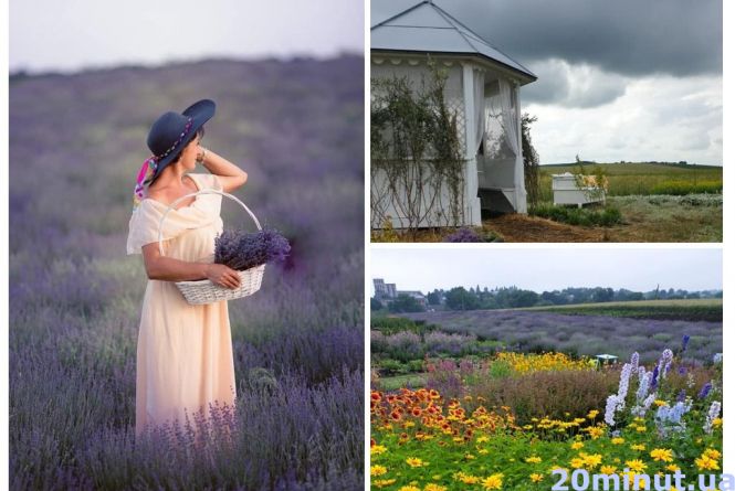 Новини Тернополя - фото з Сільська блогерка, власниця казкового саду та найкращий "Голос країни": рік, який приніс перемоги та відкрив нових людей "Це місце, де зцілюються". Після лаванди жителька Збаража готує для відвідувачів нові сюрпризи