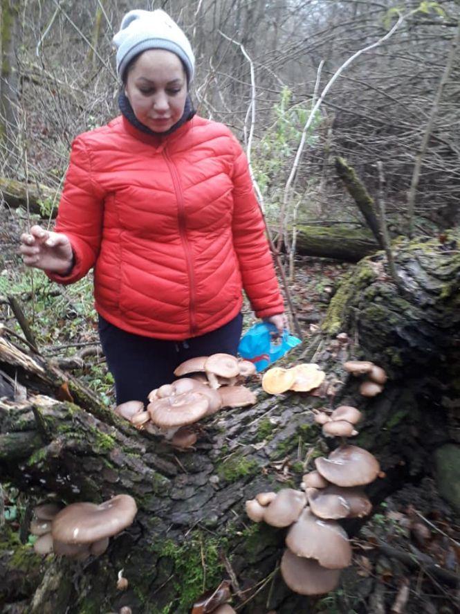 «Давно збираю зимою гриби, бувало, і на Новий рік». Нині сезон закінчився, фото №1 на сайті 20minut.ua