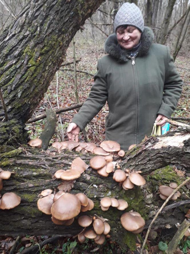 «Давно збираю зимою гриби, бувало, і на Новий рік». Нині сезон закінчився, фото №3 на сайті 20minut.ua