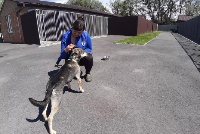 Новини Вінниці - фото з Не все так погано! ТОП-20 добрих новин 2020-го року Не все так погано! ТОП-20 добрих новин 2020-го року, фото №14 на сайті 20minut.ua