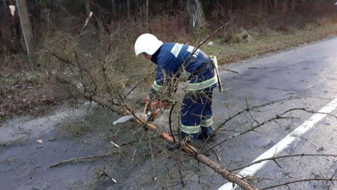 Наслідки вітряної негоди: біля Тучі на дорогу впало дерево, фото №3 на сайті 20minut.ua