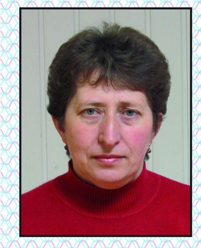 Новини Козятина - фото з Чотири округи на всю громаду: вирішили, скільки буде старост у Козятинській ОТГ Чотири округи на всю громаду: вирішили, скільки буде старост у Козятинській ОТГ, фото №2 на сайті 20minut.ua