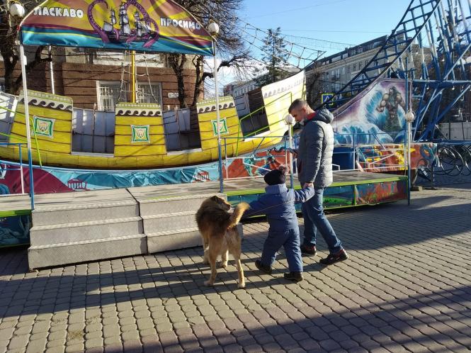 Новини Тернополя - фото з Господар Театрального майдану: історія вуличного пса Компота, якого полюбили тернополяни Немає опису.