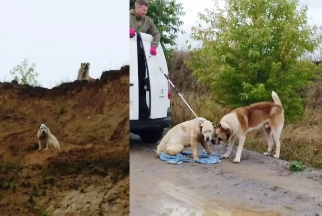 Новини Вінниці - фото з Не все так погано! ТОП-20 добрих новин 2020-го року Не все так погано! ТОП-20 добрих новин 2020-го року, фото №16 на сайті 20minut.ua