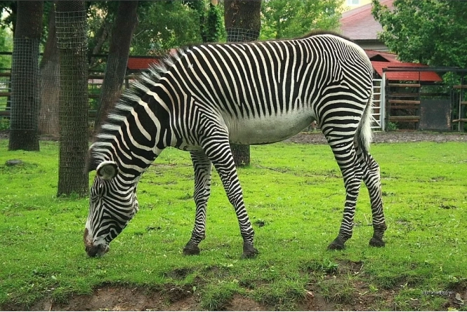 Новини Вінниці - фото з Не все так погано! ТОП-20 добрих новин 2020-го року Не все так погано! ТОП-20 добрих новин 2020-го року, фото №15 на сайті 20minut.ua