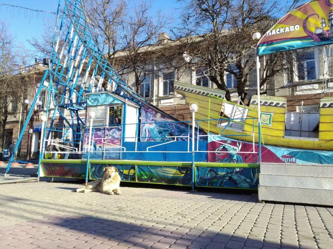 Новини Тернополя - фото з Господар Театрального майдану: історія вуличного пса Компота, якого полюбили тернополяни Немає опису.