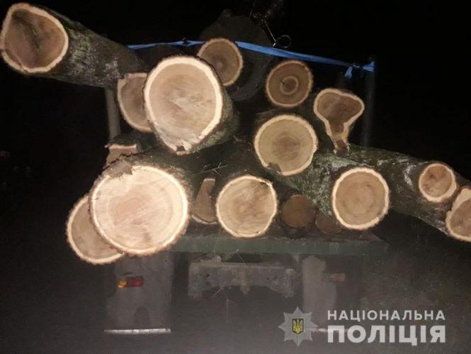 Без документів та пояснень. На Вінниччині затримали вантажівку з дубами, фото №1 на сайті 20minut.ua