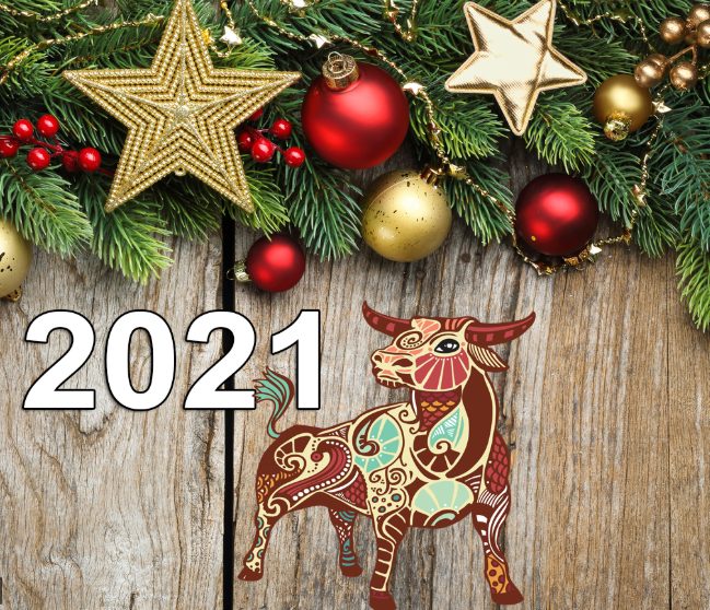 Головний колір 2021 року: у чому зустрічати Новий рік | 1NEWS.COM.UA