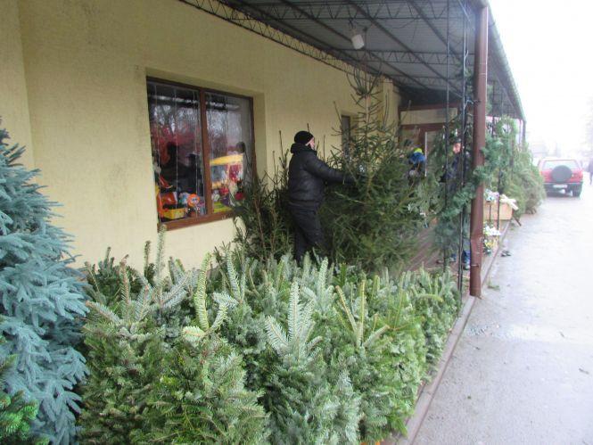 Новини Козятина - фото з Передноворічний Козятин. Що в місті подешевшало, а що подорожчало? Передноворічний Козятин. Що в місті подешевшало, а що подорожчало?, фото №2 на сайті 20minut.ua