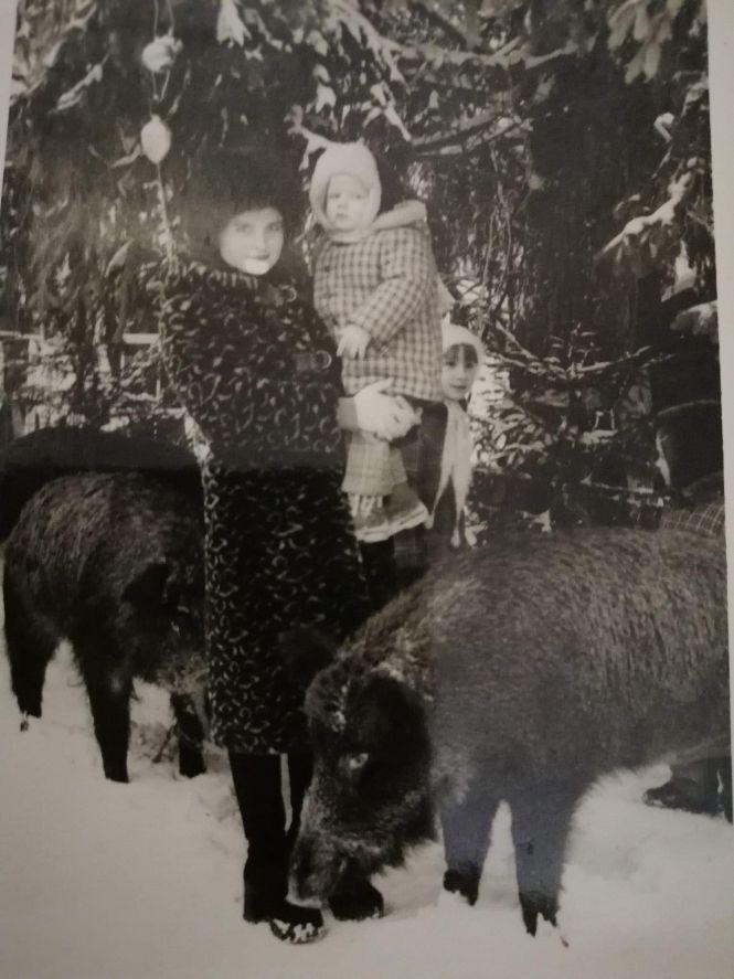 Зимова ностальгія. Якими були новорічна Вінниця і вінничани у минулому столітті, фото №7 на сайті 20minut.ua