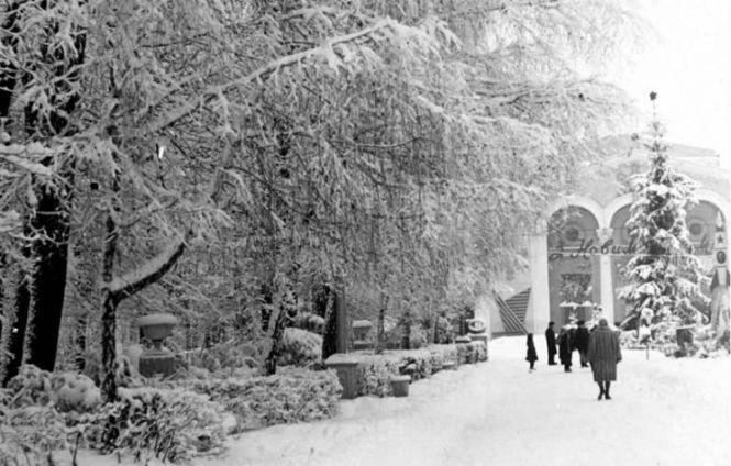 Зимова ностальгія. Якими були новорічна Вінниця і вінничани у минулому столітті, фото №5 на сайті 20minut.ua