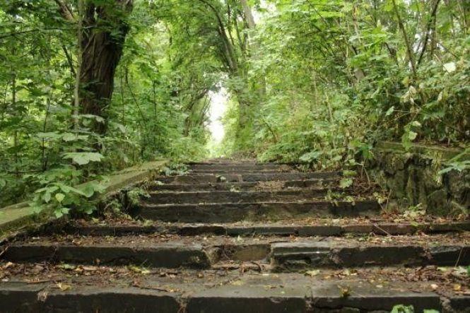 Новини Вінниці - фото з Місця сили: де у Вінниці люди перезавантажуються від стресів Місця сили: де у Вінниці люди перезавантажуються від стресів, фото №3 на сайті 20minut.ua