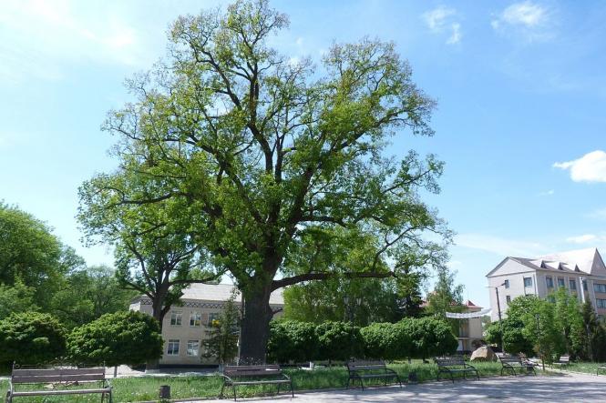 Наша історія: які міста Хмельниччини найстаріші, фото №2 на сайті vsim.ua