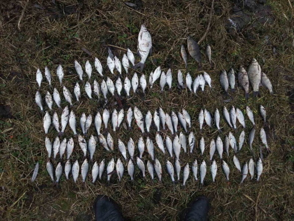 Новини Хмельницького - фото з На Хмельниччині незаконно виловили риби на майже 400 тисяч гривень На Хмельниччині незаконно виловили риби на майже 400 тисяч гривень, фото №2 на сайті vsim.ua