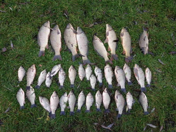 Новини Хмельницького - фото з На Хмельниччині незаконно виловили риби на майже 400 тисяч гривень На Хмельниччині незаконно виловили риби на майже 400 тисяч гривень, фото №1 на сайті vsim.ua