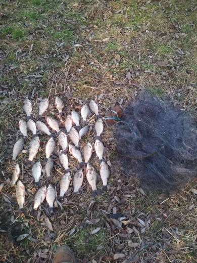 Новини Хмельницького - фото з На Хмельниччині незаконно виловили риби на майже 400 тисяч гривень На Хмельниччині незаконно виловили риби на майже 400 тисяч гривень, фото №5 на сайті vsim.ua