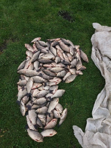 Новини Хмельницького - фото з На Хмельниччині незаконно виловили риби на майже 400 тисяч гривень На Хмельниччині незаконно виловили риби на майже 400 тисяч гривень, фото №3 на сайті vsim.ua