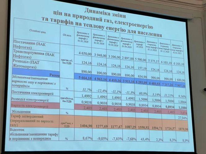 Житомирські депутати звернулись до Кабміну з проханням передати газові мережі у власність міста, фото №1 на сайті 20minut.ua