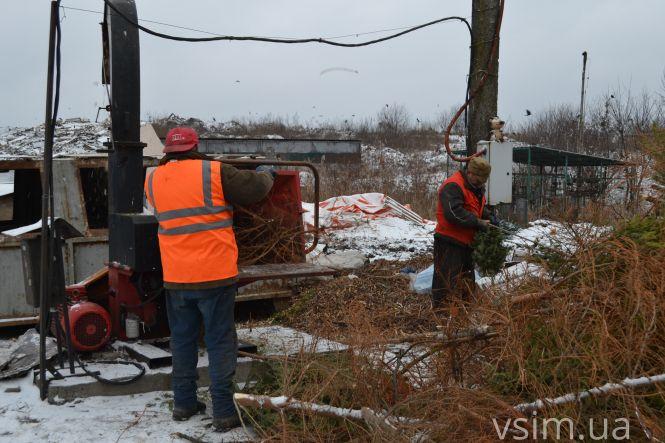 Куди діваються ялинки, які викидають хмельничани (ФОТО, ВІДЕО), фото №3 на сайті vsim.ua