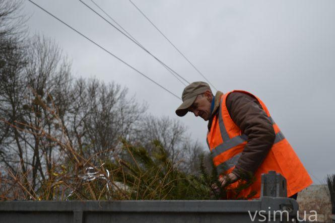 Куди діваються ялинки, які викидають хмельничани (ФОТО, ВІДЕО), фото №1 на сайті vsim.ua
