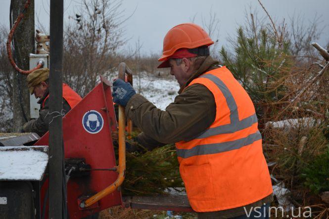 Куди діваються ялинки, які викидають хмельничани (ФОТО, ВІДЕО), фото №8 на сайті vsim.ua