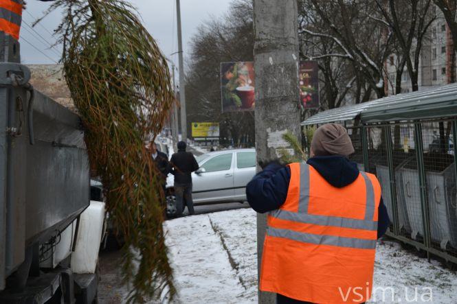 Куди діваються ялинки, які викидають хмельничани (ФОТО, ВІДЕО), фото №2 на сайті vsim.ua