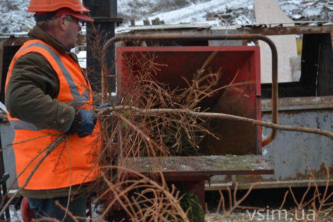 Куди діваються ялинки, які викидають хмельничани (ФОТО, ВІДЕО), фото №5 на сайті vsim.ua