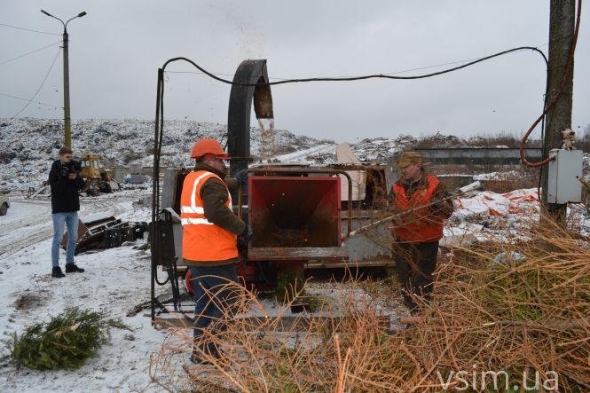 Куди діваються ялинки, які викидають хмельничани (ФОТО, ВІДЕО), фото №6 на сайті vsim.ua
