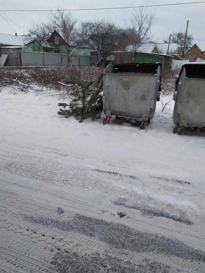 Новини Козятина - фото з Фото дня: ялинка біля смітника та засніжені вулиці Фото дня: ялинка біля смітника та засніжені вулиці, фото №5 на сайті 20minut.ua