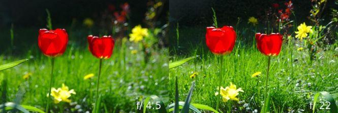 Скажіть cheese. Поради від фотографа, як навчитися робити гарні світлини, фото №4 на сайті 20minut.ua