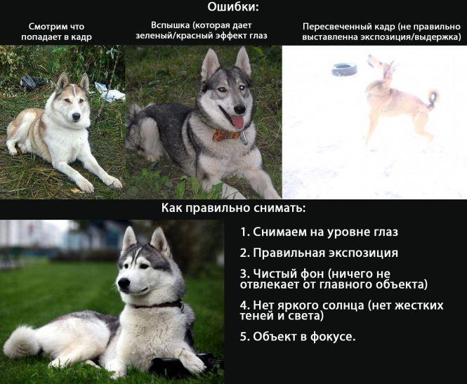 Скажіть cheese. Поради від фотографа, як навчитися робити гарні світлини, фото №1 на сайті 20minut.ua