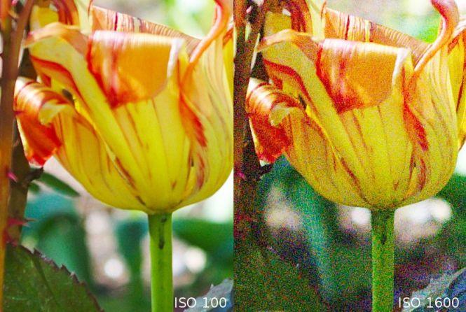 Скажіть cheese. Поради від фотографа, як навчитися робити гарні світлини, фото №6 на сайті 20minut.ua