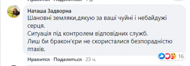 Новини Вінниці - фото з «Гинуть лебеді на кризі у Турбові». На водосховищі оселилася родина пернатих «Гинуть лебеді на кризі у Турбові». На водосховищі оселилася родина пернатих, фото №3 на сайті 20minut.ua