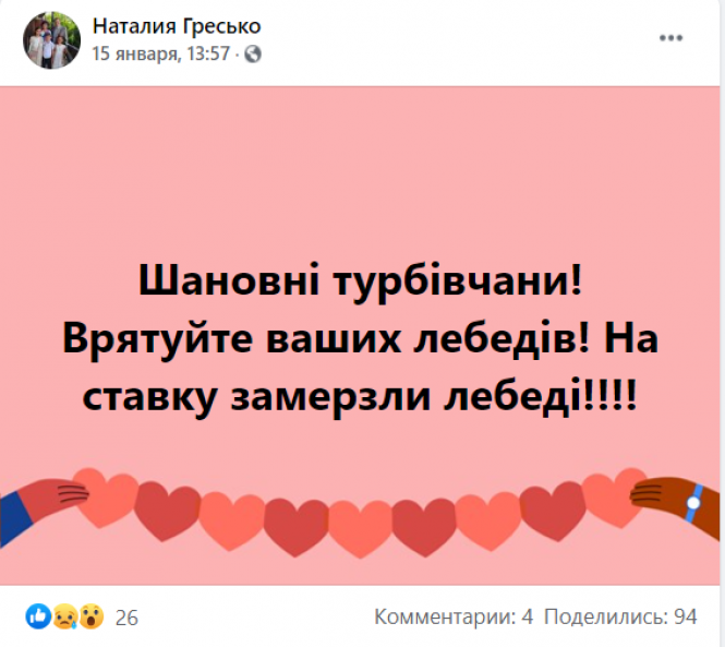 Новини Вінниці - фото з «Гинуть лебеді на кризі у Турбові». На водосховищі оселилася родина пернатих «Гинуть лебеді на кризі у Турбові». На водосховищі оселилася родина пернатих, фото №2 на сайті 20minut.ua