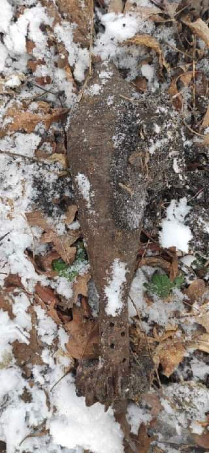 Новини Козятина - фото з Поблизу Перемоги знайшли мінометну міну Поблизу Перемоги знайшли мінометну міну, фото №3 на сайті 20minut.ua