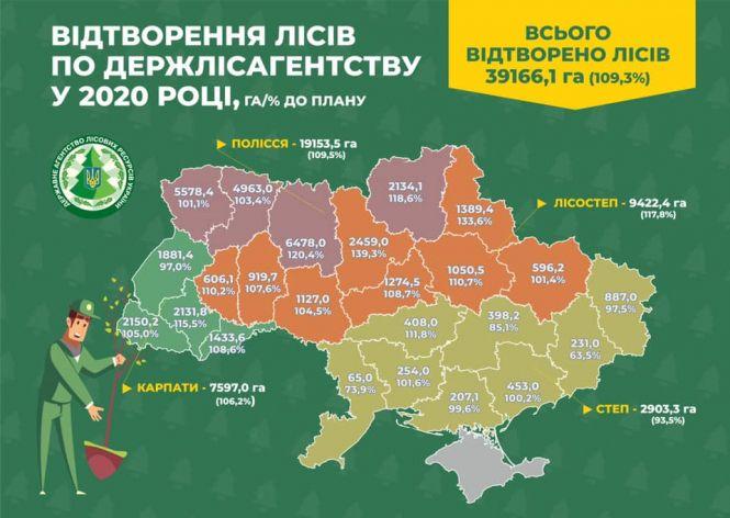 Зелений рекорд: лісівники Житомирщини за рік висадили найбільшу кількість дерев, фото №1 на сайті 20minut.ua