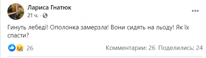 Новини Вінниці - фото з «Гинуть лебеді на кризі у Турбові». На водосховищі оселилася родина пернатих «Гинуть лебеді на кризі у Турбові». На водосховищі оселилася родина пернатих, фото №1 на сайті 20minut.ua