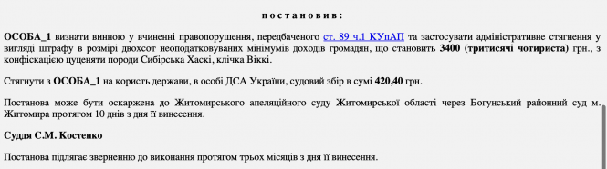 Житомирянку, яка знущалася над цуценям хаскі, суд визнав винною і зобов’язав сплатити штраф, фото №1 на сайті 20minut.ua