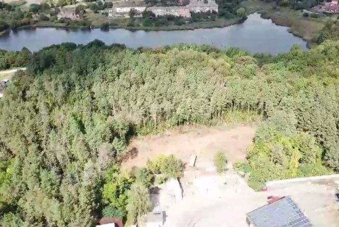 Новини Вінниці - фото з Важливе за вчора. Найцікавіші новини 20 січня, які ви могли пропустити Свій лісок під Вінницею… Що вирішить суд — поверне громаді чи залишить у приватній власності?