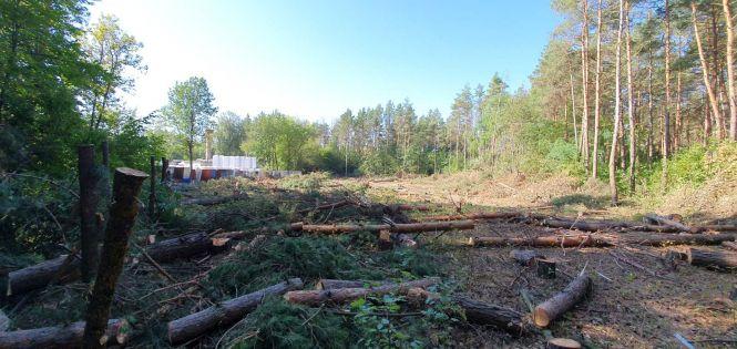Новини Вінниці - фото з Свій лісок під Вінницею… Що вирішить суд — поверне громаді чи залишить у приватній власності? Свій лісок під Вінницею… Що вирішить суд — поверне громаді чи залишить у приватній власності?, фото №1 на сайті 20minut.ua
